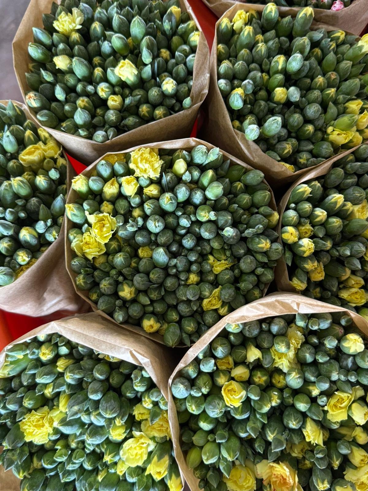 photo 2025 11 04 13 43 18 2