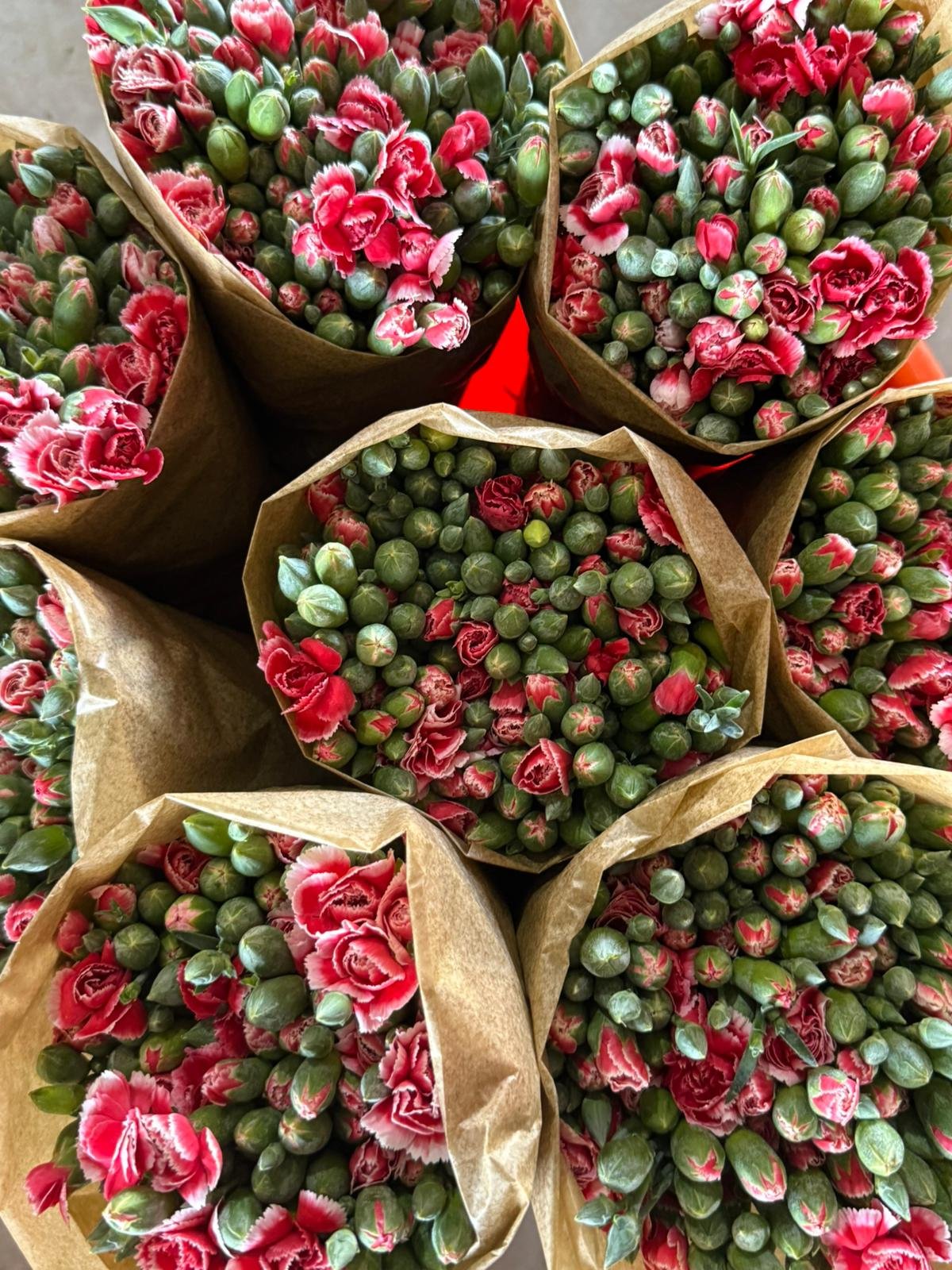 photo 2025 11 04 13 43 18