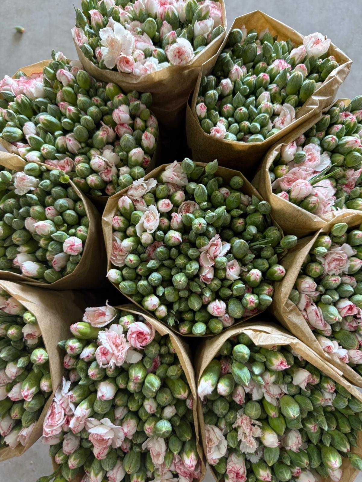 photo 2025 11 04 13 43 23 2