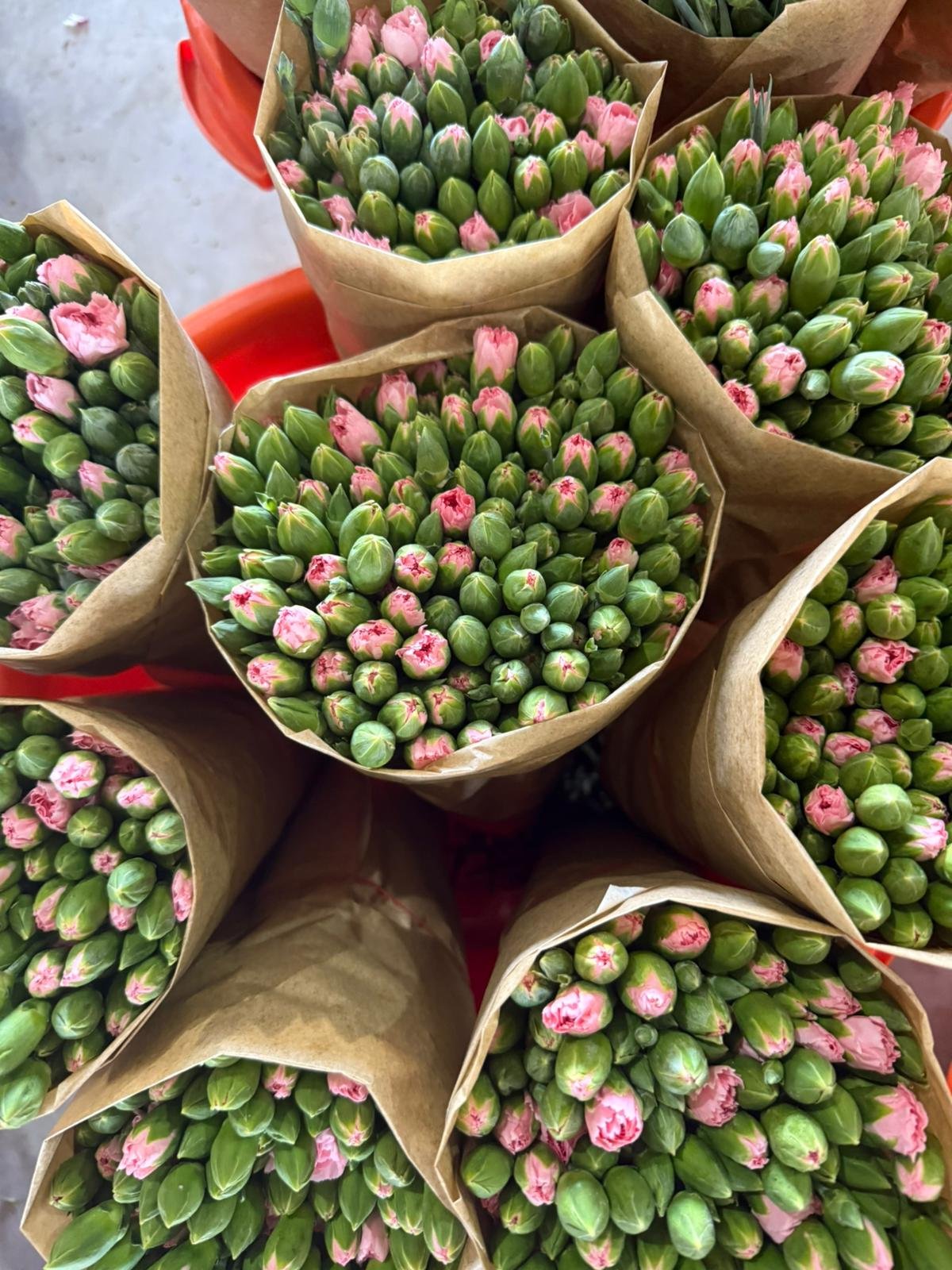 photo 2025 11 04 13 43 23 3